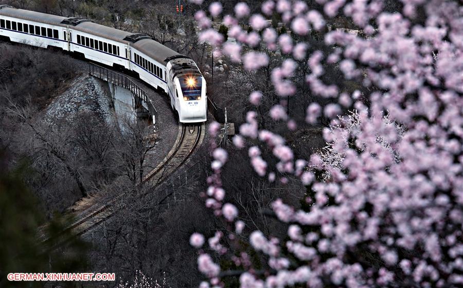 #CHINA-BEIJING-TRAIN-FLOWER (CN)