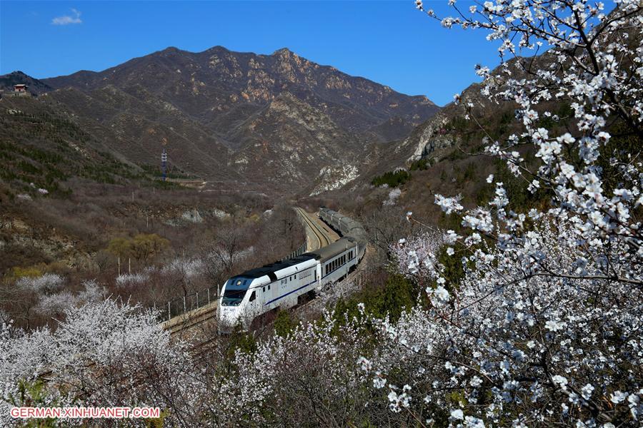 #CHINA-BEIJING-TRAIN-FLOWER (CN)