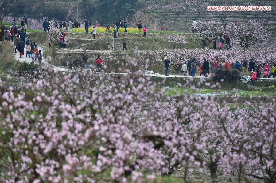 CHINA-FUJIAN-PEACH BLOSSOM(CN)