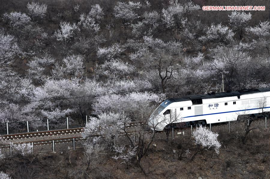 CHINA-BEIJING-TRAIN (CN)