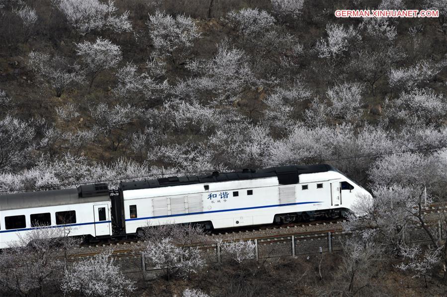 CHINA-BEIJING-TRAIN (CN)