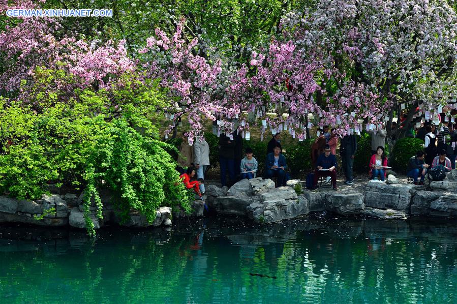 CHINA-JINAN-CRABAPPLE FLOWERS (CN)  