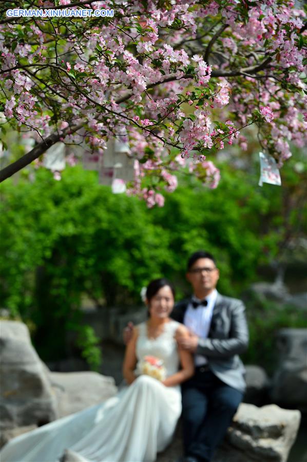 CHINA-JINAN-CRABAPPLE FLOWERS (CN)  