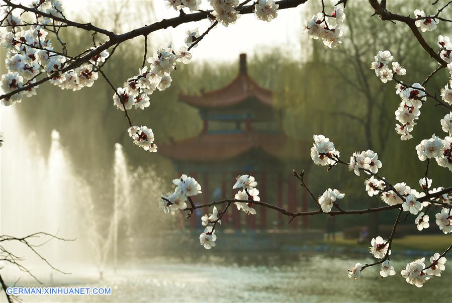 CHINA-SHANXI-SPRING SCENERY (CN)