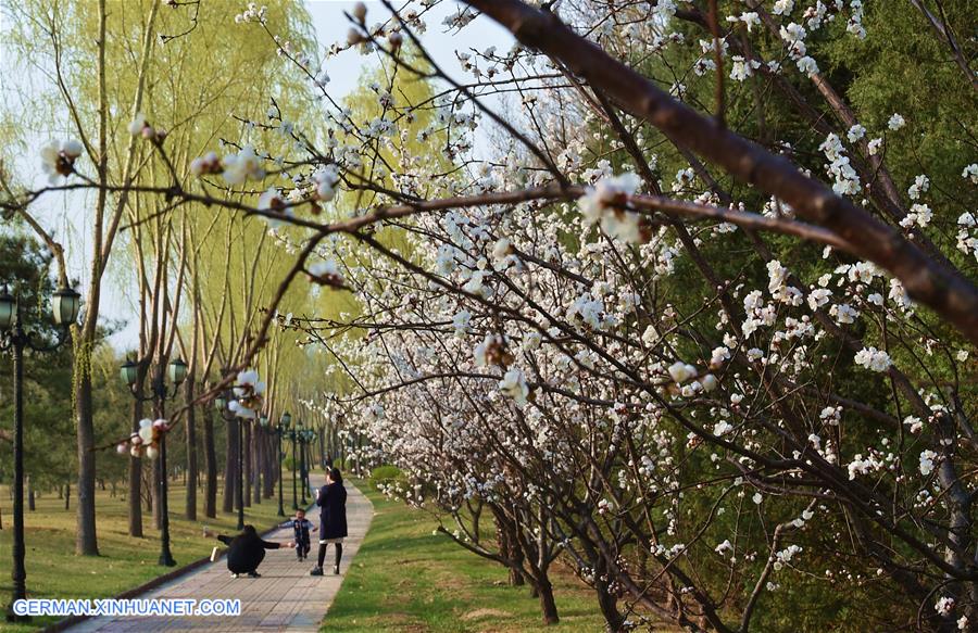 CHINA-SHANXI-SPRING SCENERY (CN)