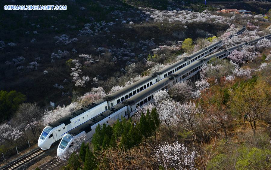 #CHINA-BEIJING-JUYONGGUAN-SPRING SCENERY (CN)