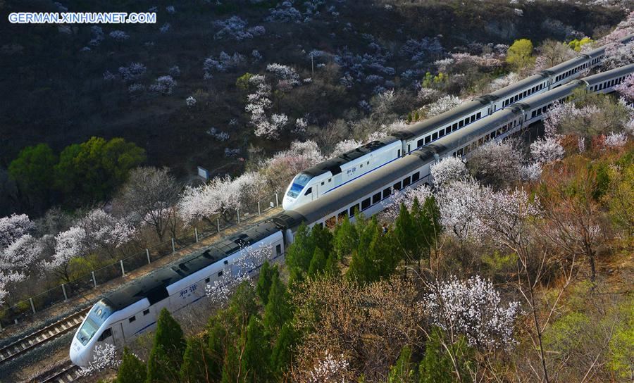 #CHINA-BEIJING-JUYONGGUAN-SPRING SCENERY (CN)