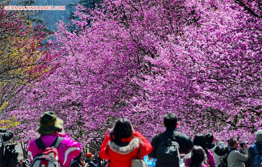 CHINA-SPRING-SCENERY-COLORS (CN)