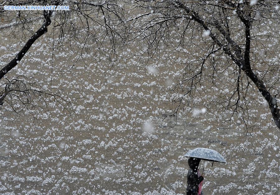 CHINA-YINCHUAN-SNOWFALL (CN)