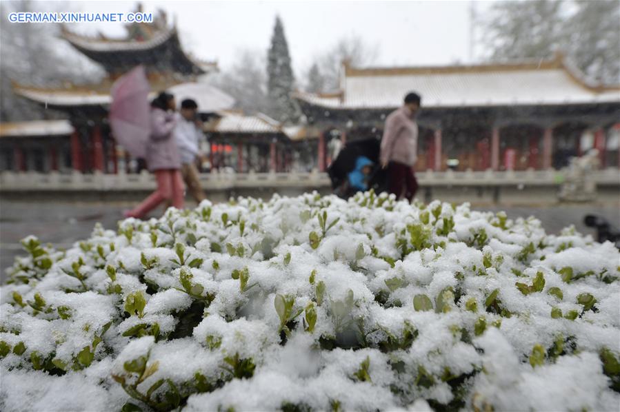 CHINA-YINCHUAN-SNOWFALL (CN)