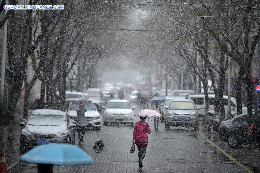 CHINA-YINCHUAN-SNOWFALL (CN)