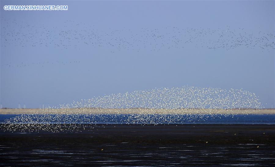 #CHINA-LIAONING-YALU RIVER-BIRDS (CN)