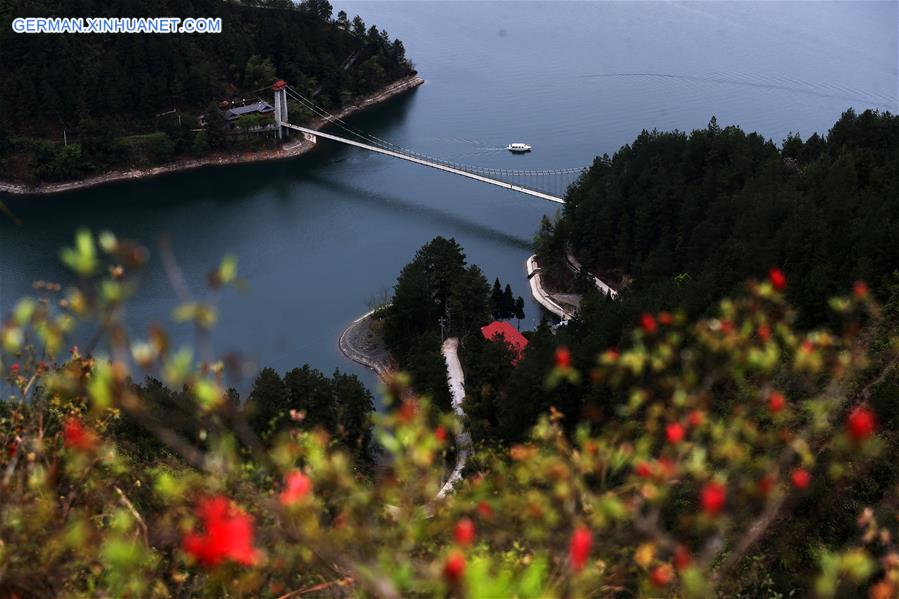 #CHINA-CHONGQING-SPRING (CN)