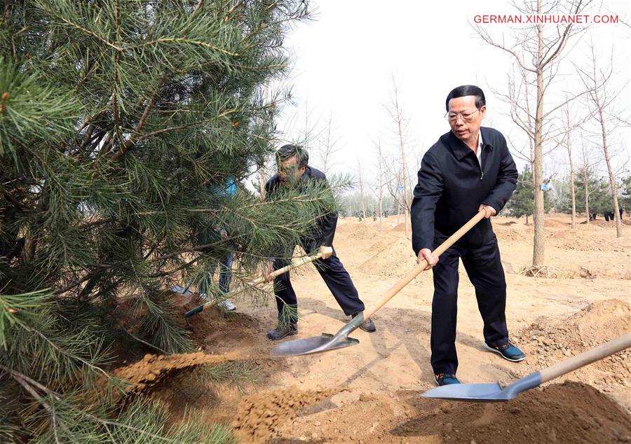 CHINA-BEIJING-LEADERS-TREE PLANTING (CN) 