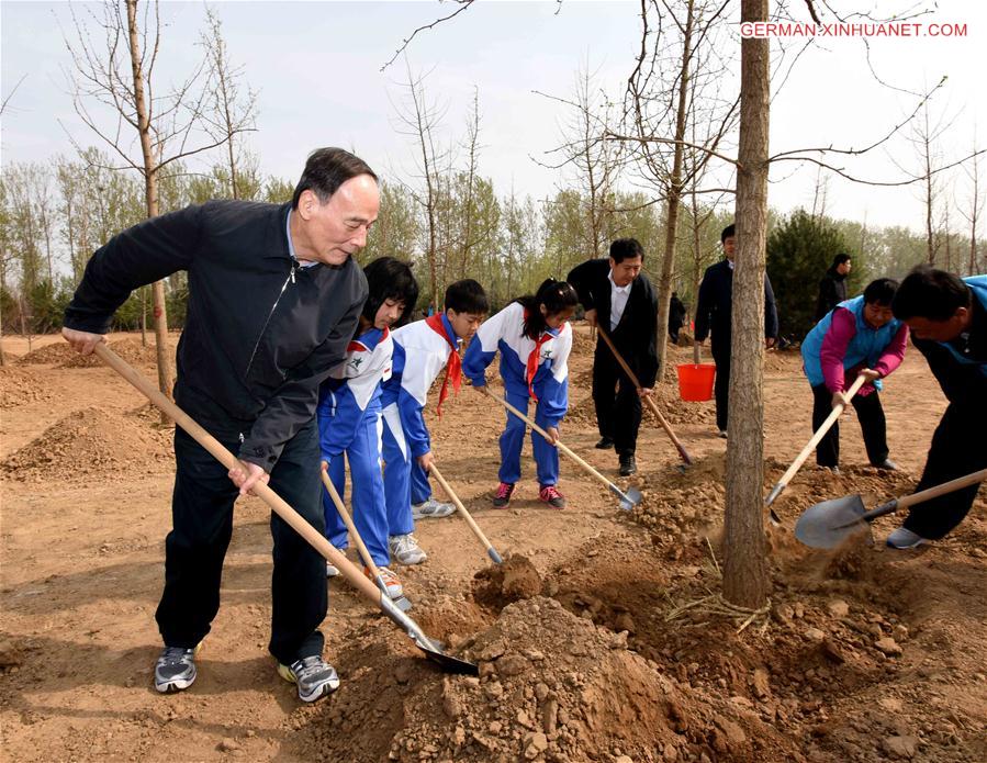 CHINA-BEIJING-LEADERS-TREE PLANTING (CN) 