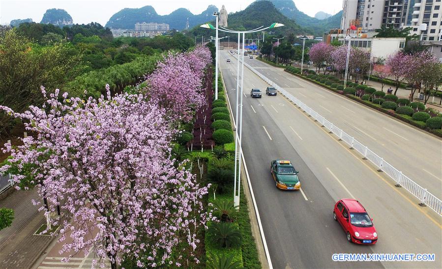 CHINA-GUANGXI-LIUZHOU-FLOWER (CN)