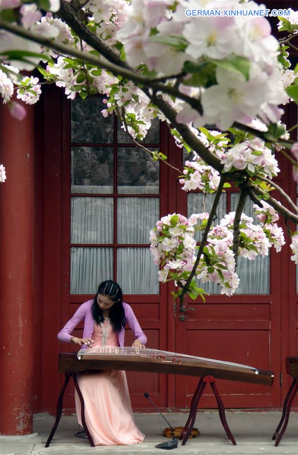 CHINA-BEIJING-CRABAPPLE CULTURE FESTIVAL  (CN)