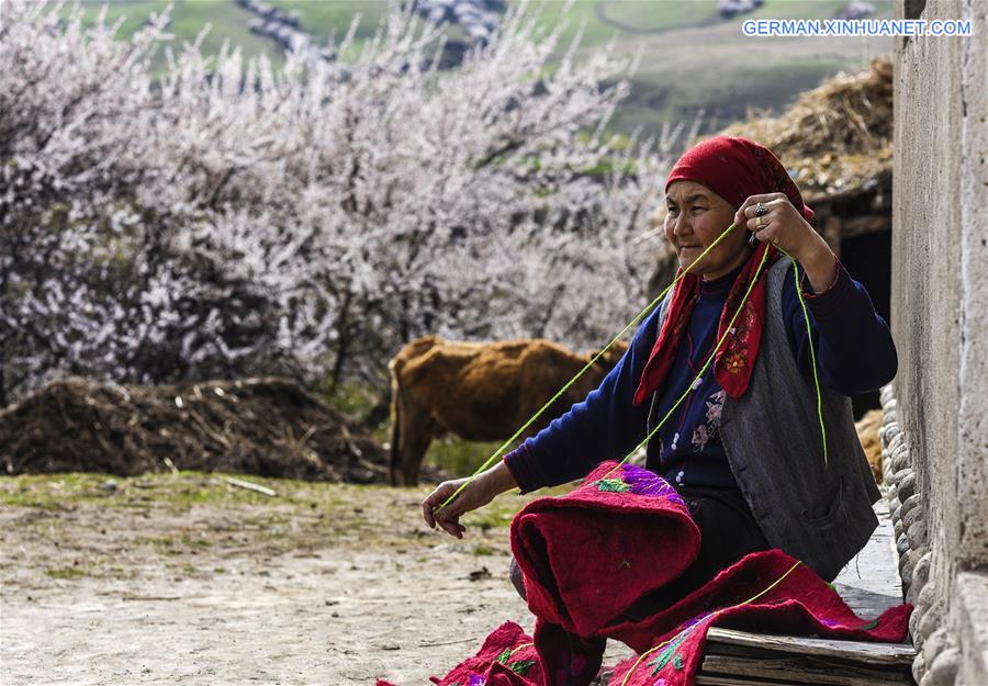 CHINA-XINJIANG-ALMOND FLOWERS(CN)