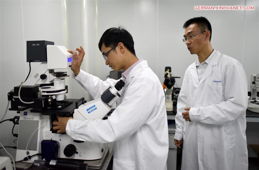 CHINA-GUANGDONG-GENE-EDITORS (CN)