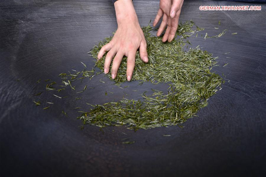 #CHINA-HUBEI-TEA MAKING (CN)