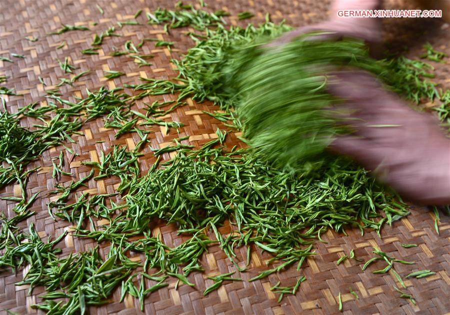 #CHINA-HUBEI-TEA MAKING (CN)