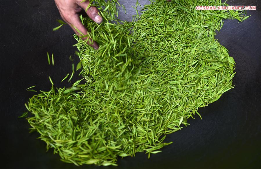 #CHINA-HUBEI-TEA MAKING (CN)