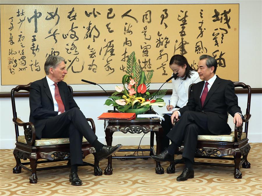 CHINA-BEIJING-WANG YI-HAMMOND-MEETING (CN)