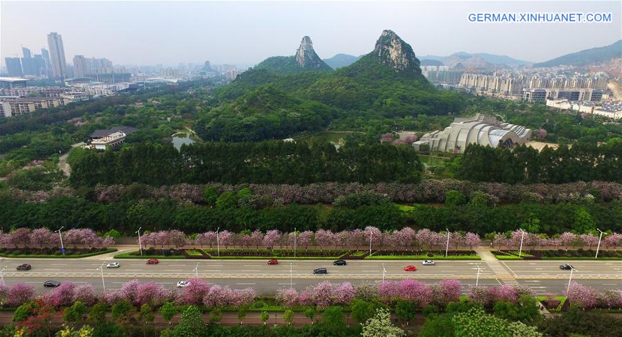 CHINA-GUANGXI-LIUZHOU-FLOWERS-VIEW (CN)