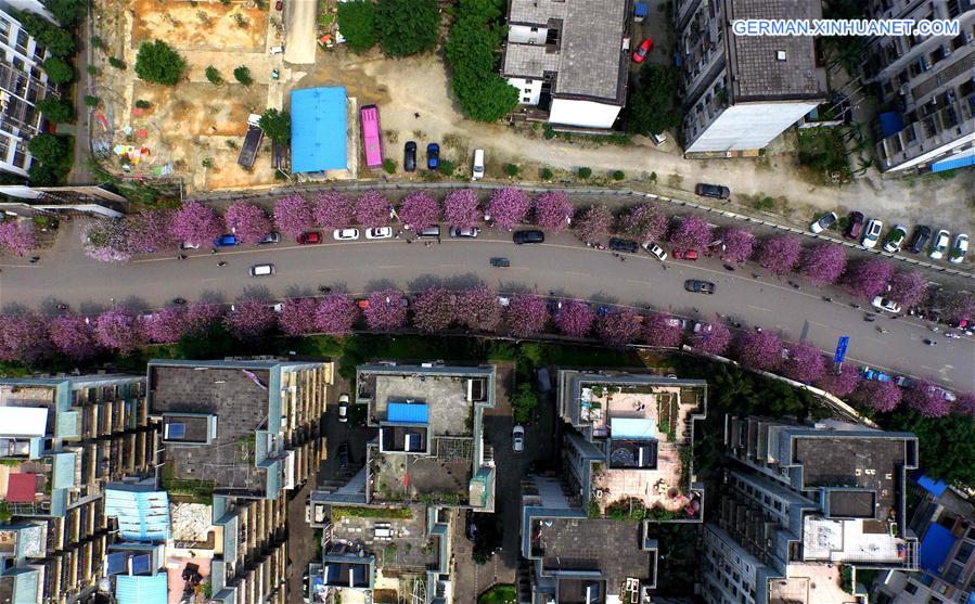 CHINA-GUANGXI-LIUZHOU-FLOWERS-VIEW (CN)