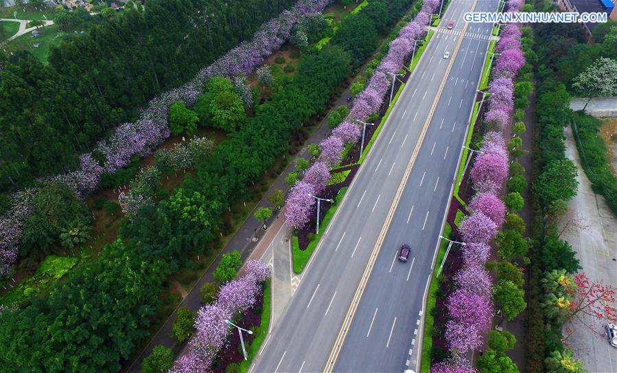 CHINA-GUANGXI-LIUZHOU-FLOWERS-VIEW (CN)