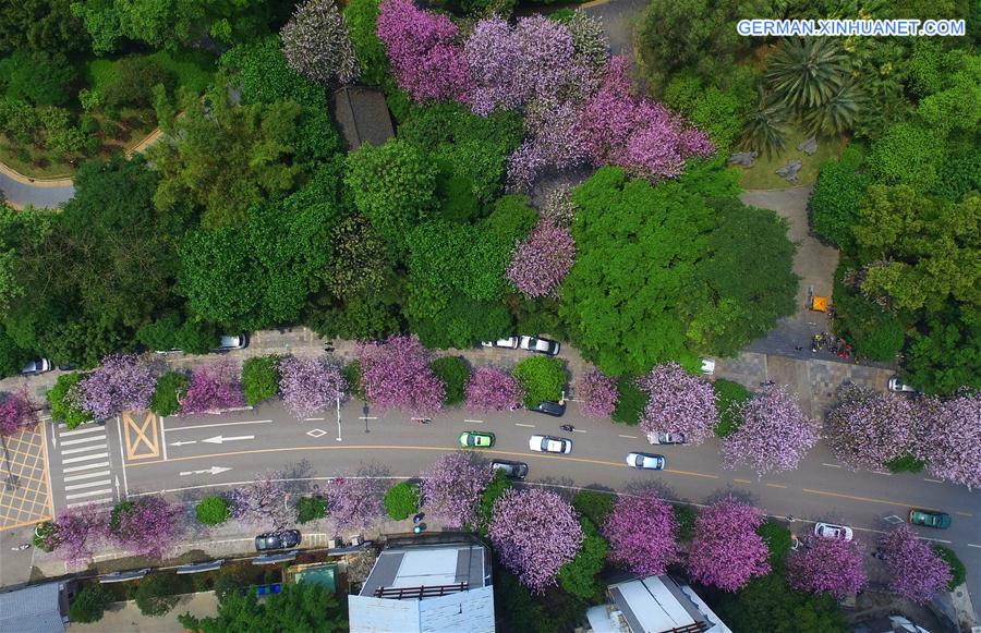 CHINA-GUANGXI-LIUZHOU-FLOWERS-VIEW (CN)