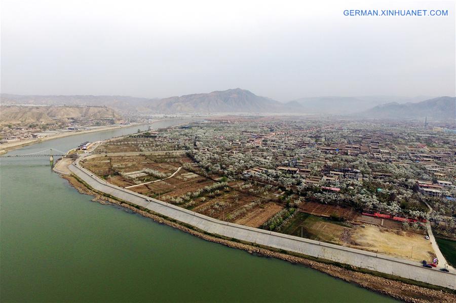 CHINA-GANSU-GAOLAN-PEAR FLOWERS (CN)