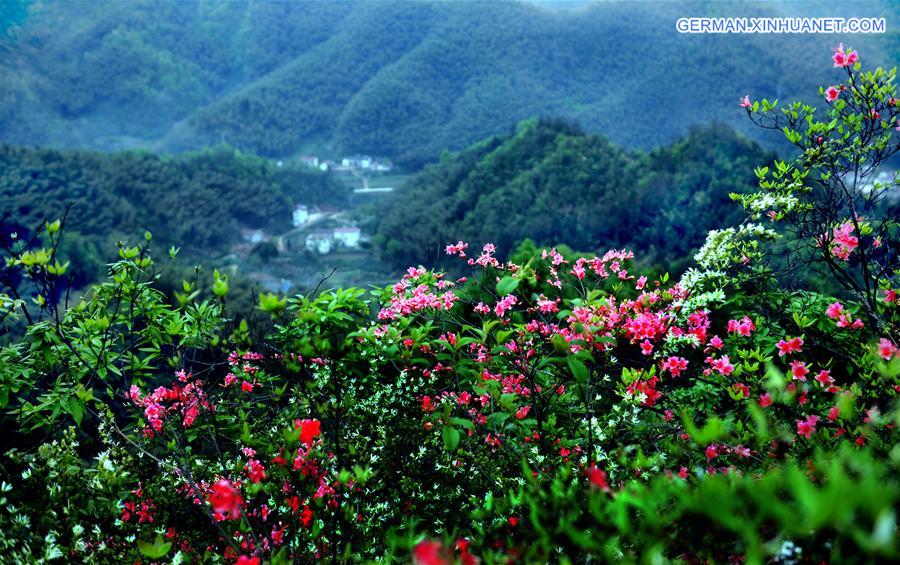 CHINA-ANHUI-MOUNTAIN-SCENERY(CN)