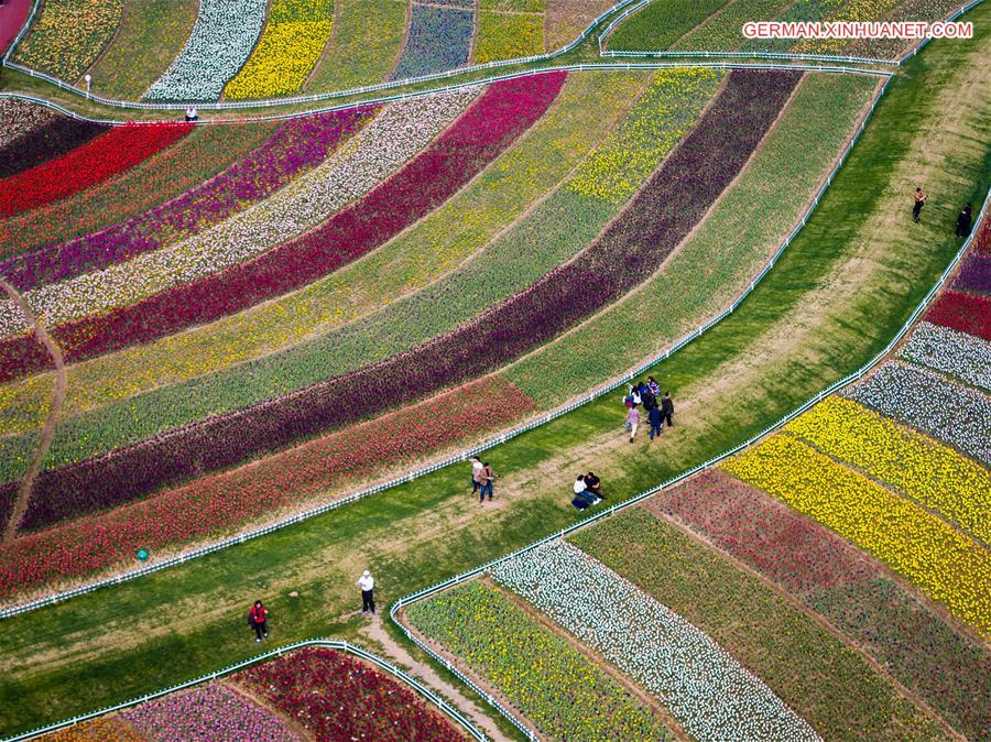 WEEKLY CHOICES OF XINHUA PHOTO