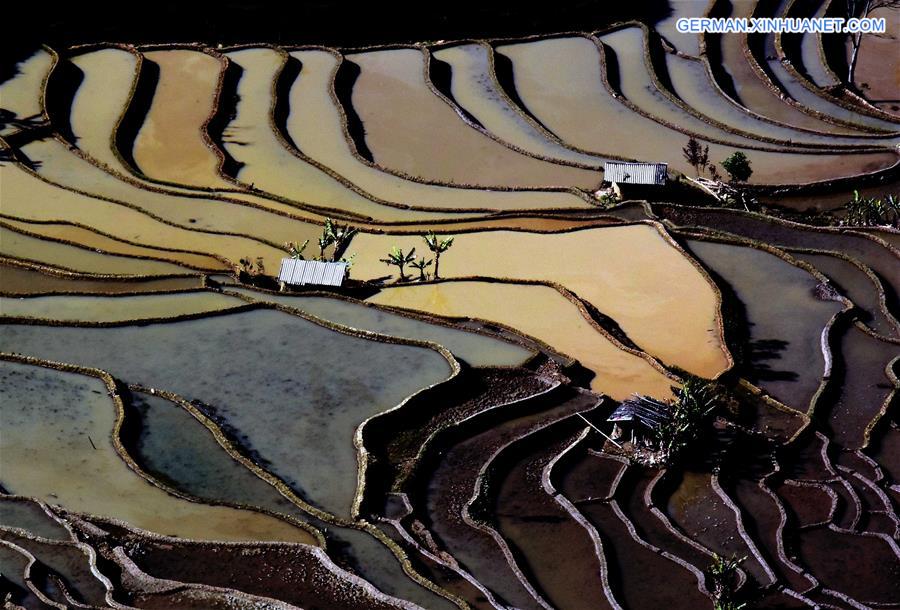 CHINA-TERRACED FIELDS-SCENERY (CN)