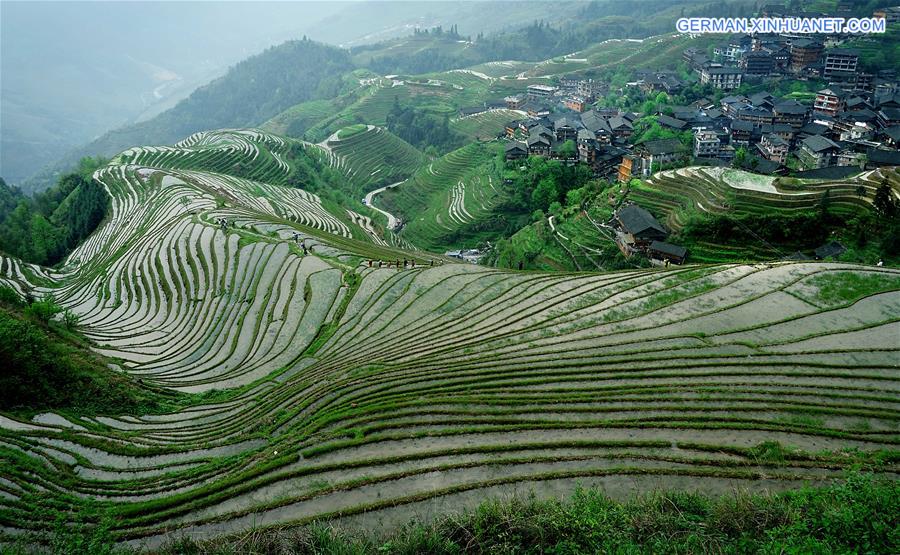 CHINA-TERRACED FIELDS-SCENERY (CN)