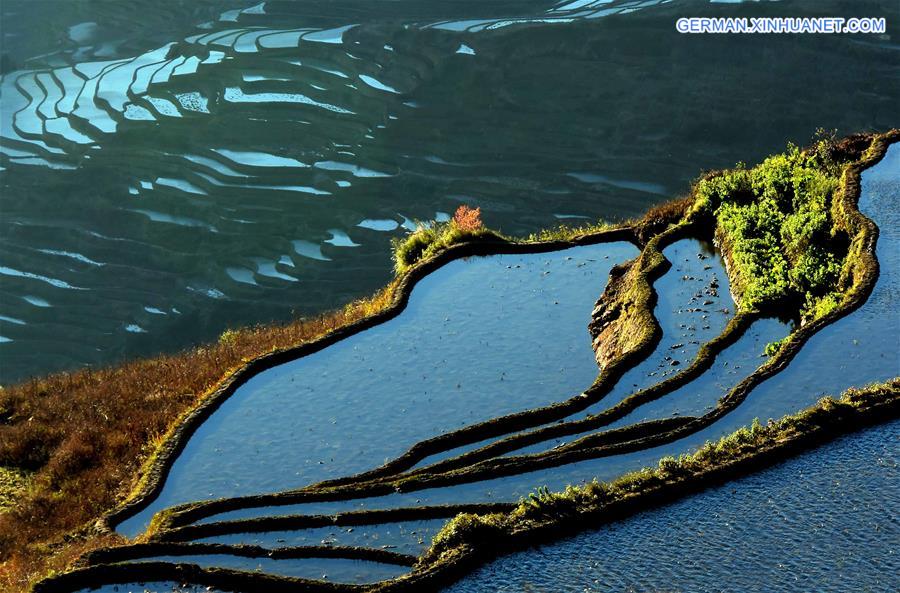 CHINA-TERRACED FIELDS-SCENERY (CN)