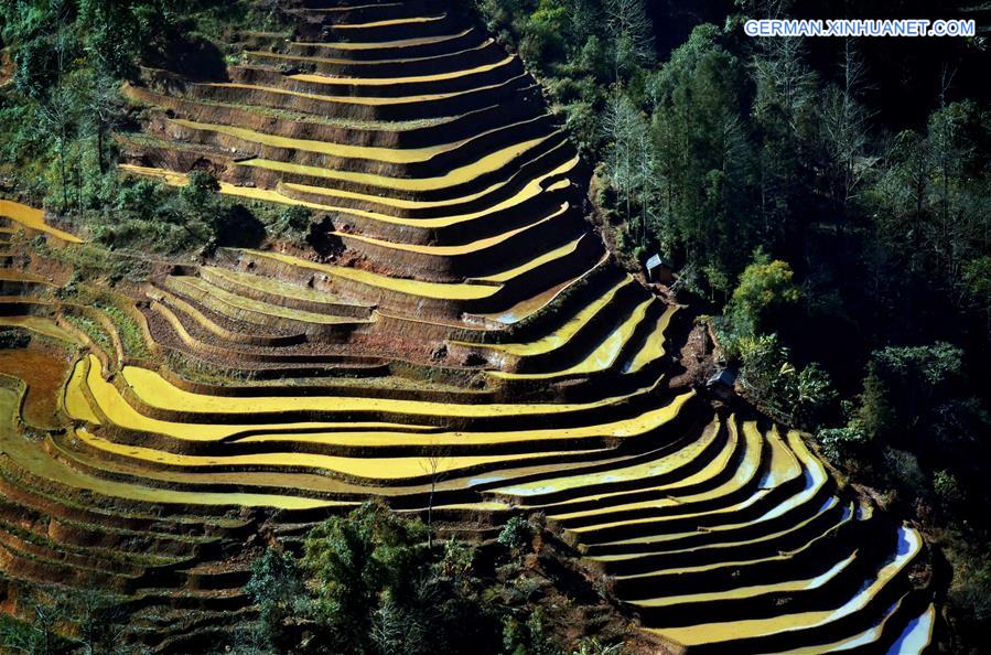 CHINA-TERRACED FIELDS-SCENERY (CN)