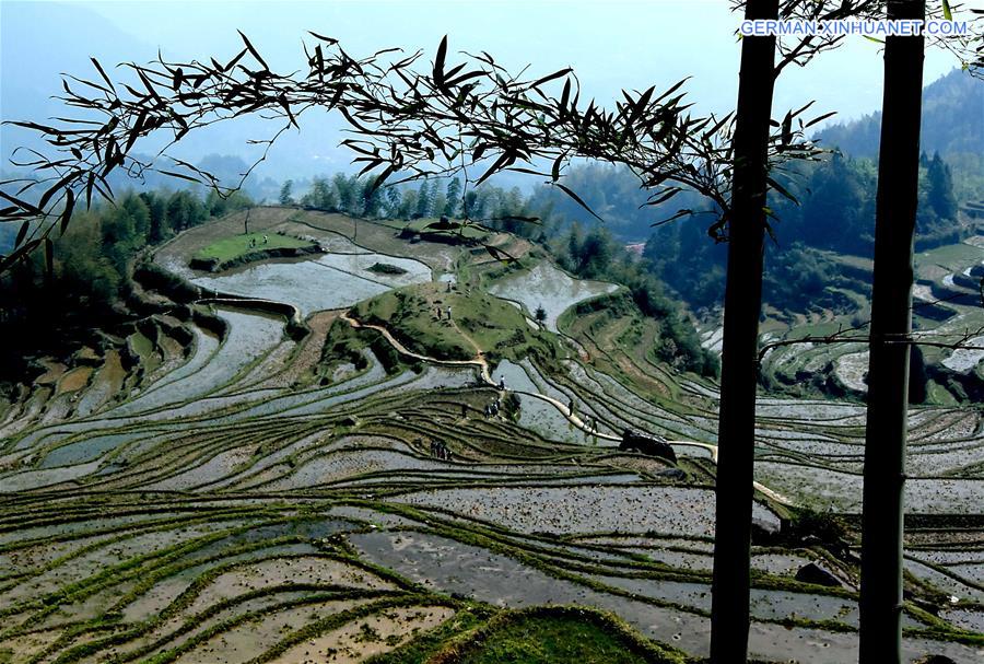 CHINA-TERRACED FIELDS-SCENERY (CN)