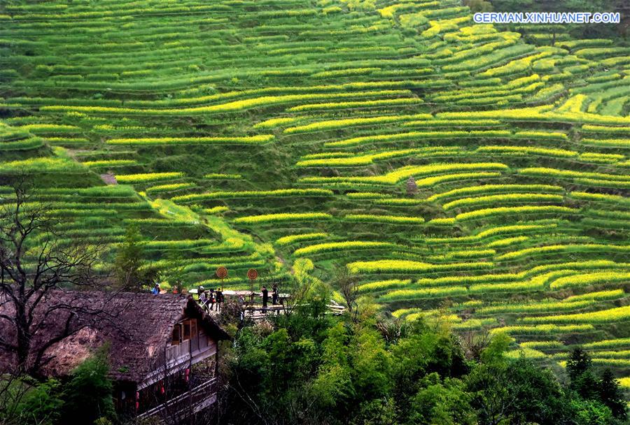 CHINA-TERRACED FIELDS-SCENERY (CN)