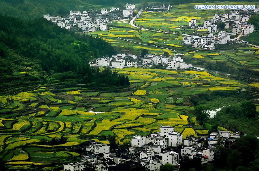 CHINA-TERRACED FIELDS-SCENERY (CN)