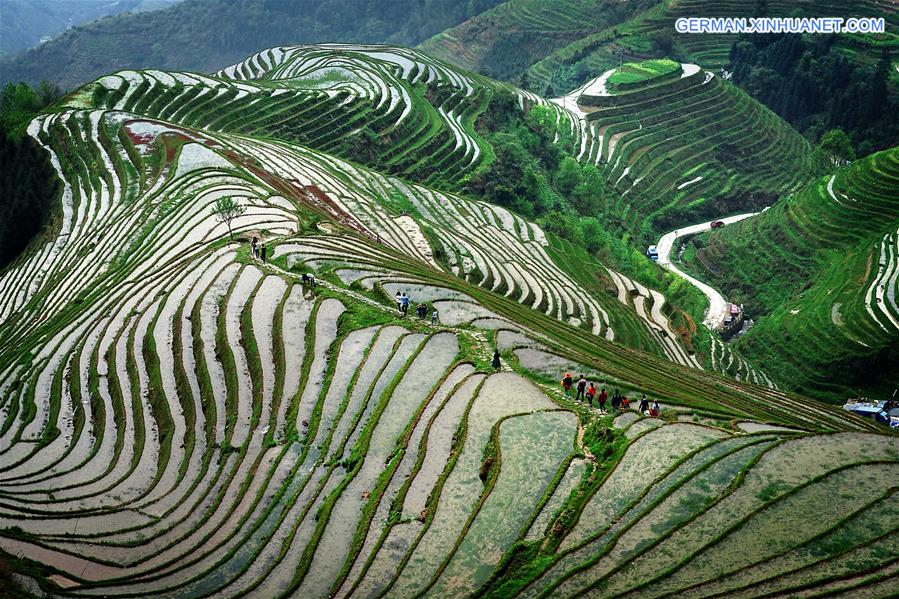 CHINA-TERRACED FIELDS-SCENERY (CN)