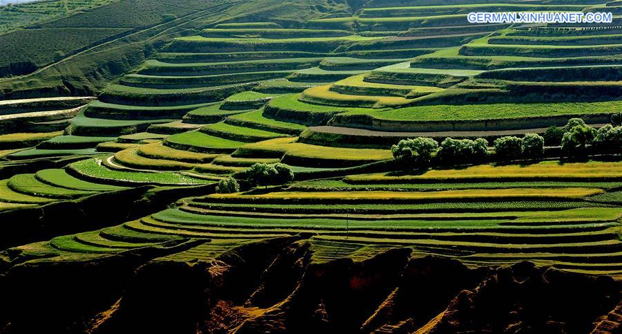 CHINA-TERRACED FIELDS-SCENERY (CN)