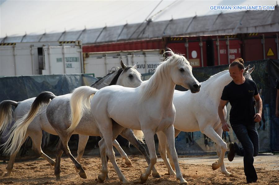 CHINA-BEIJING-HORSE SHOW-CAVALIA (CN)