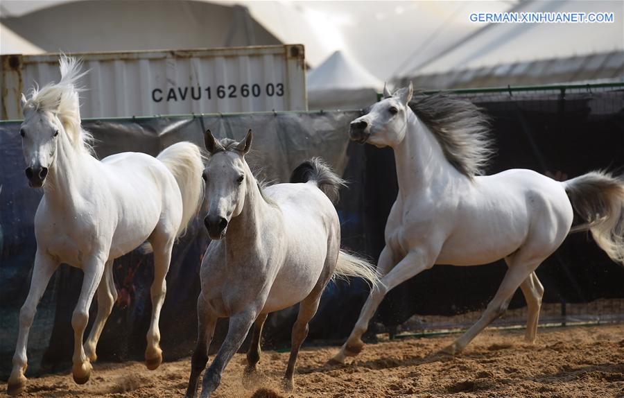 CHINA-BEIJING-HORSE SHOW-CAVALIA (CN)