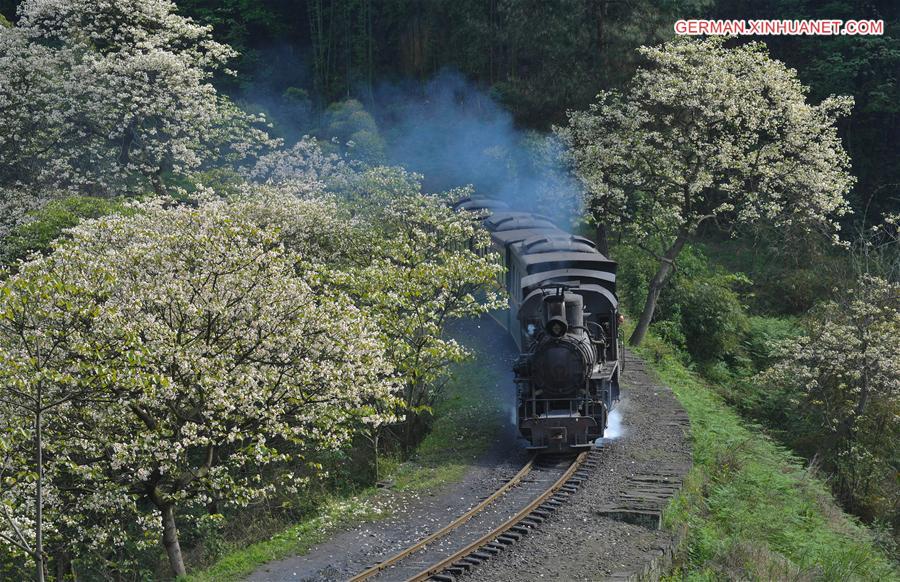 CHINA-SICHUAN-STEAM TRAIN (CN)