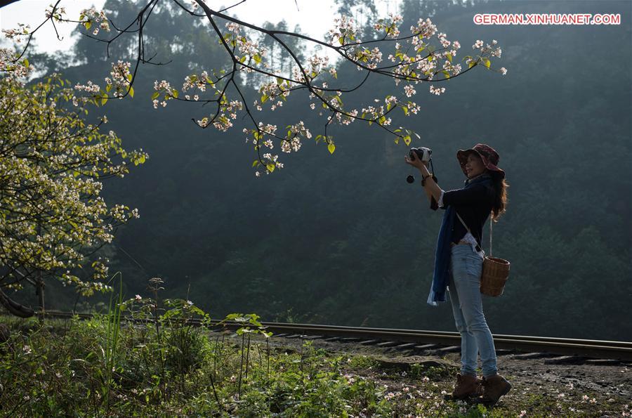 CHINA-SICHUAN-STEAM TRAIN (CN)