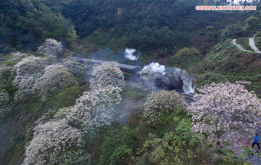 CHINA-SICHUAN-STEAM TRAIN (CN)