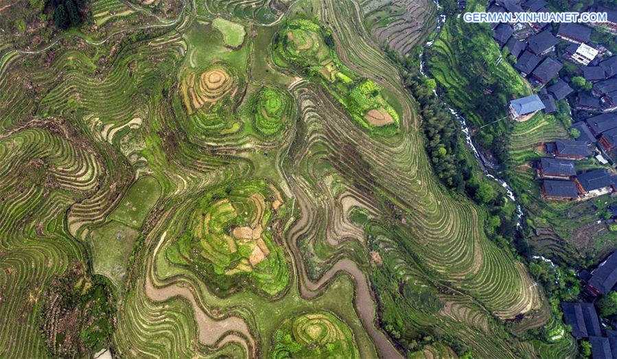 #CHINA-GUANGXI-TERRACED FIELD (CN)