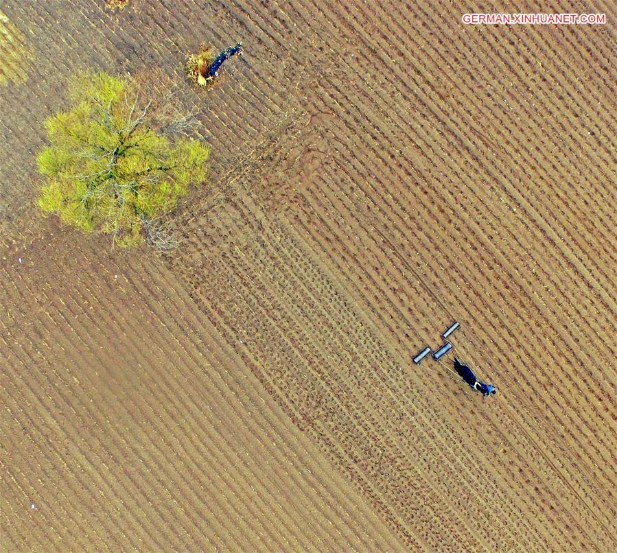 CHINA-SHENYANG-FARMING (CN)